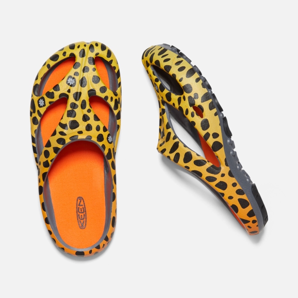 キーン THC チーター レインボー レディース シャンティ アーツ